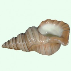 Фигурки для декора сада (72)