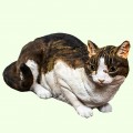 Урна для праха Кошка короткошерстная